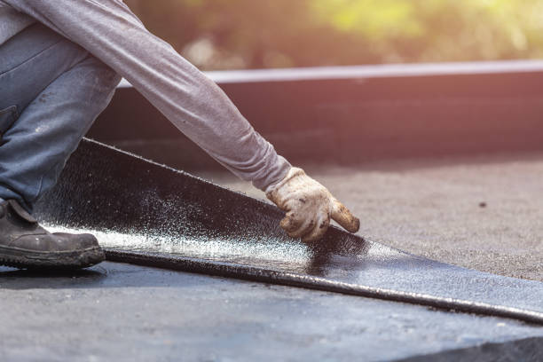 Wet basement repair process in Bellevue, OH
